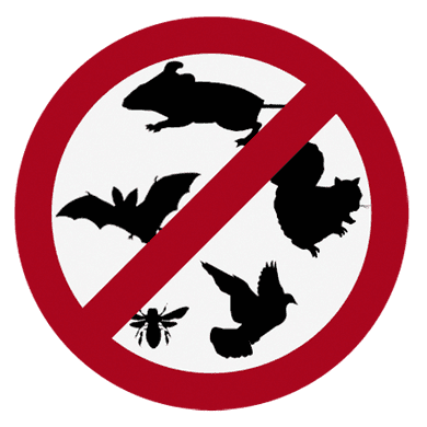 Pest Control, Termite Control & Animal Removal in Brevard County